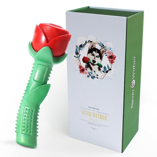 KFX-5079101 Red TPE Molar Stick Dog Toy in Gift Box for Chewing and Playtime