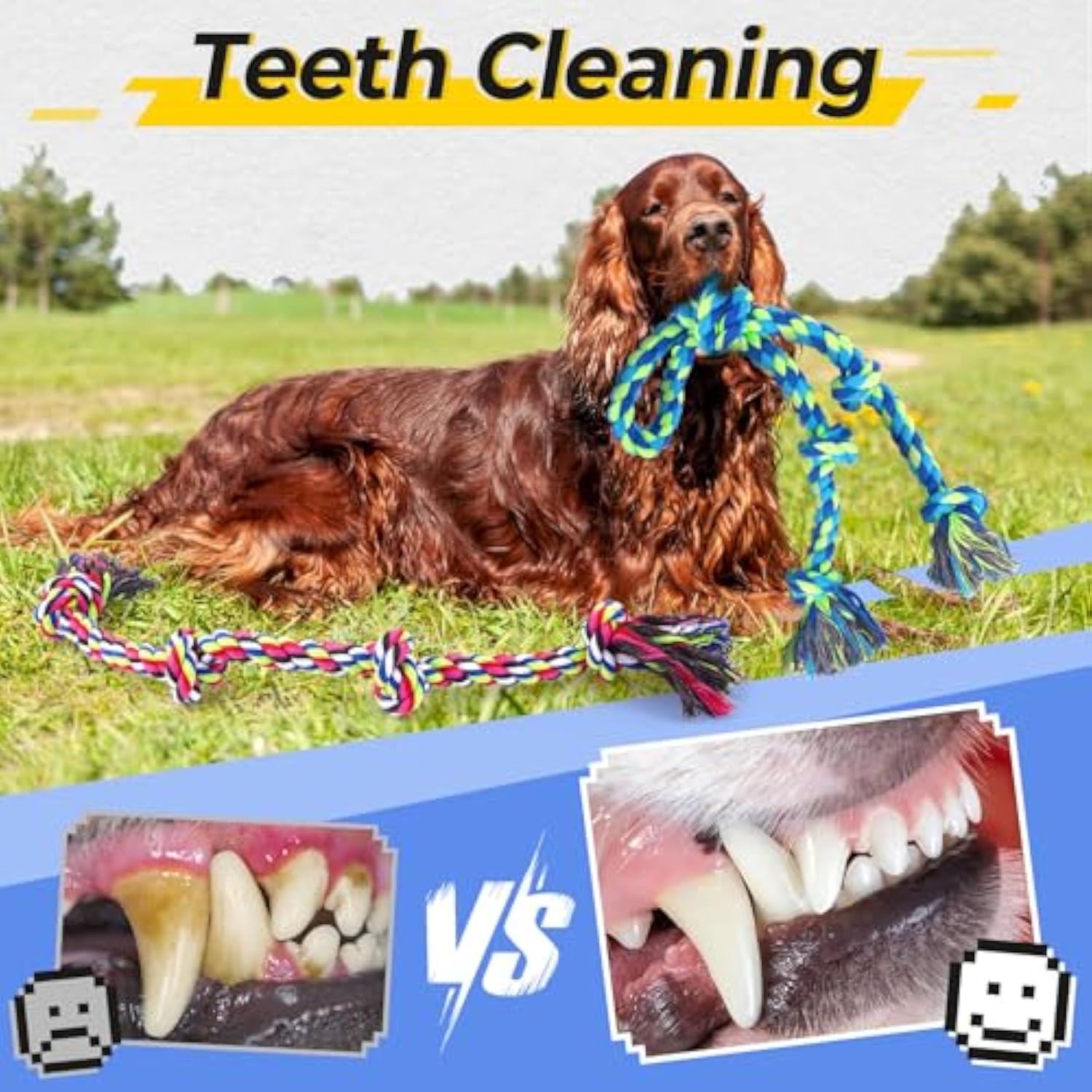 KFX-5082685 Durable Cotton Rope Toy for Dogs - Ideal for Tug of War, Chewing, and Interactive Play