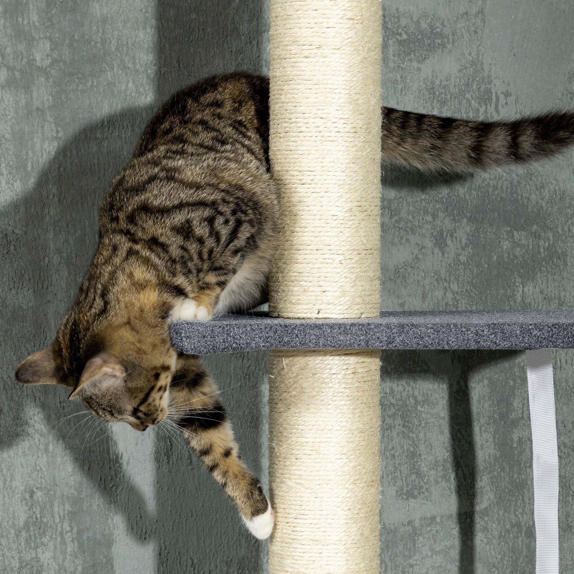 KFX-5083325 Adjustable Floor-to-Ceiling Cat Tree with Multi-Level Platforms, Scratching Posts, and Cozy Hammock - Dark Gray and Cream