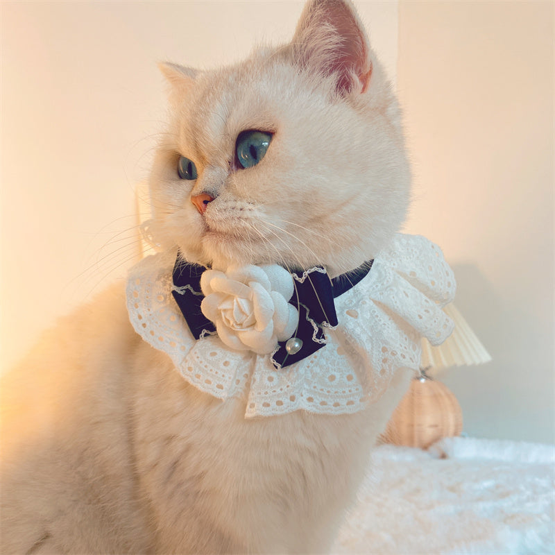 KFX-5087805 Fashion Cat Lace Neck Collar with Bow - Available in White and Black Options, Various Sizes