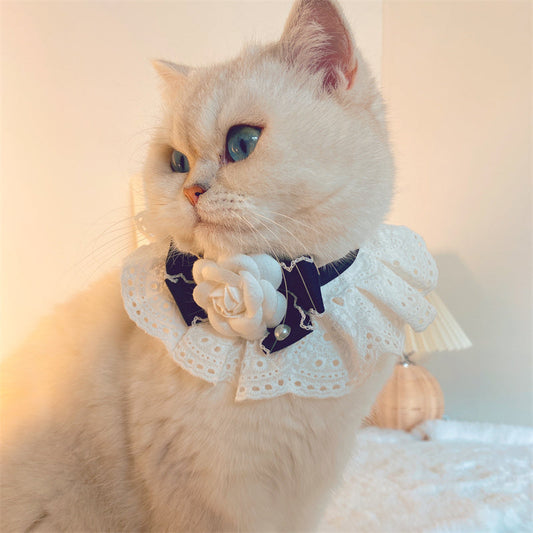 KFX-5087805 Fashion Cat Lace Neck Collar with Bow - Available in White and Black Options, Various Sizes