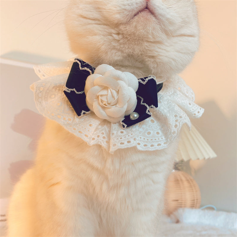 KFX-5087805 Fashion Cat Lace Neck Collar with Bow - Available in White and Black Options, Various Sizes