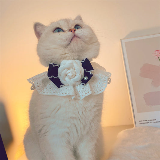 KFX-5087805 Fashion Cat Lace Neck Collar with Bow - Available in White and Black Options, Various Sizes