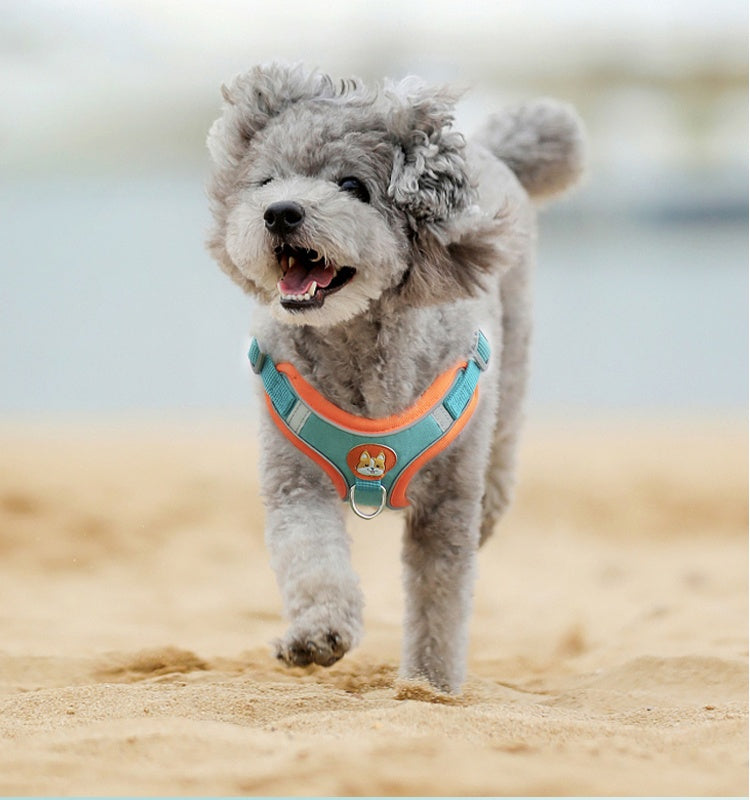 KFX-5089085 Chest Strap Pet Leash Vest for Small to Medium Dogs, Soft Cotton in Multiple Colors