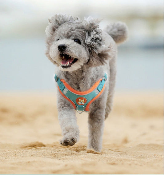 KFX-5089085 Chest Strap Pet Leash Vest for Small to Medium Dogs, Soft Cotton in Multiple Colors