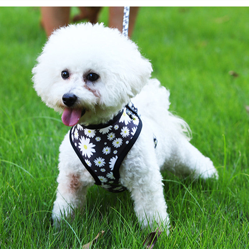 KFX-5094845 Stylish Breathable Dog Harness and Leash Set with Adjustable Fit