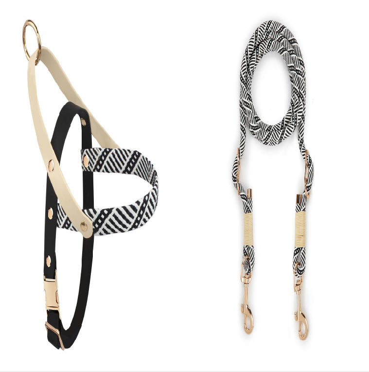 KFX-5095357 Nylon Pet Leash for Small to Medium Dogs in Shadow White and Wizard of Oz Green