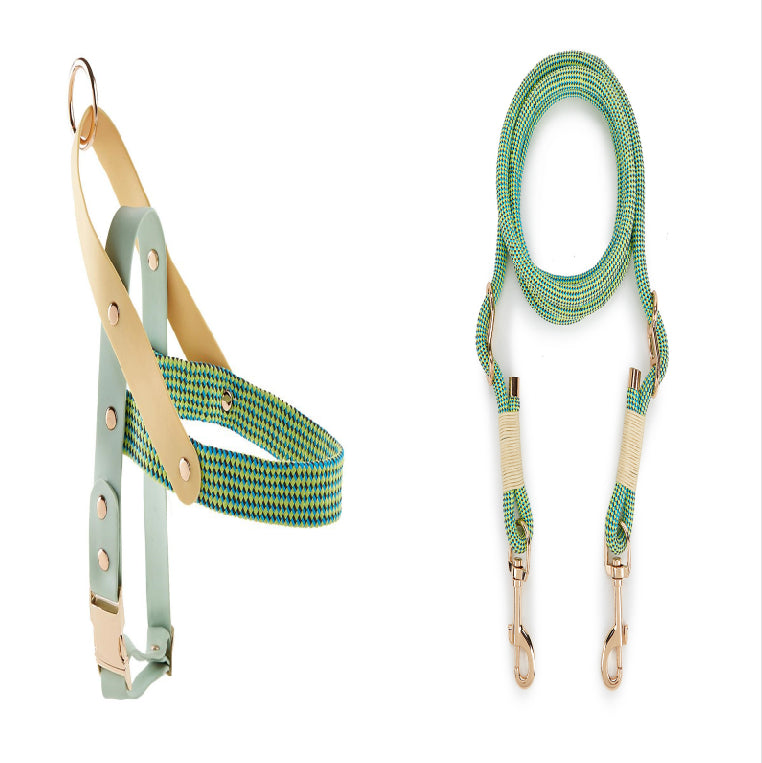 KFX-5095357 Nylon Pet Leash for Small to Medium Dogs in Shadow White and Wizard of Oz Green