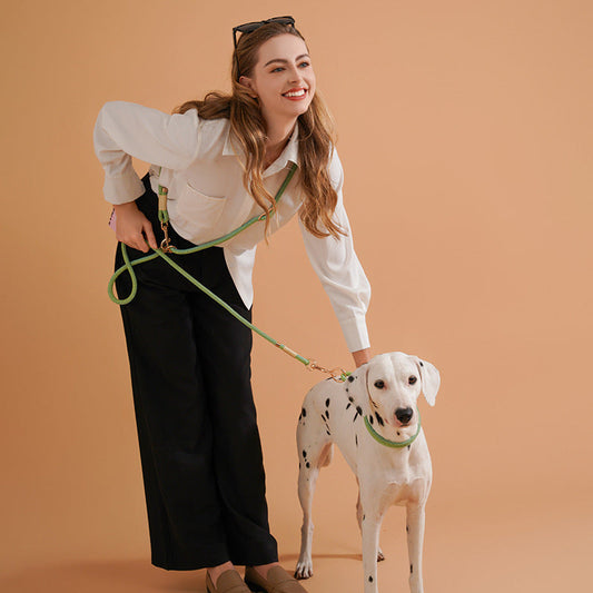 KFX-5095357 Nylon Pet Leash for Small to Medium Dogs in Shadow White and Wizard of Oz Green