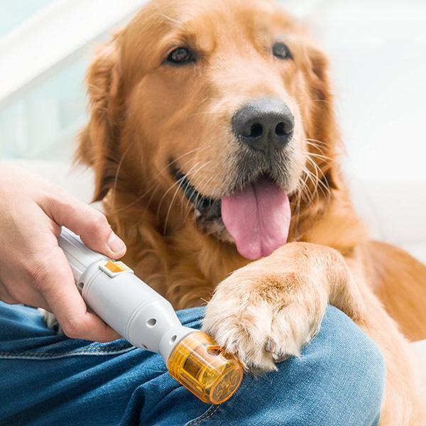KFX-5099325 Electric Pet Nail Grinder for Cats and Dogs - Safe, Painless Nail Trimming Tool