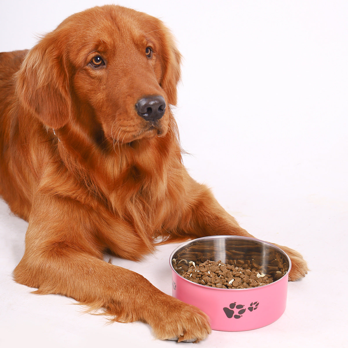 KFX-5101501 Large Capacity Stainless Steel Dog Bowl - Anti-Tumble Design for Cats