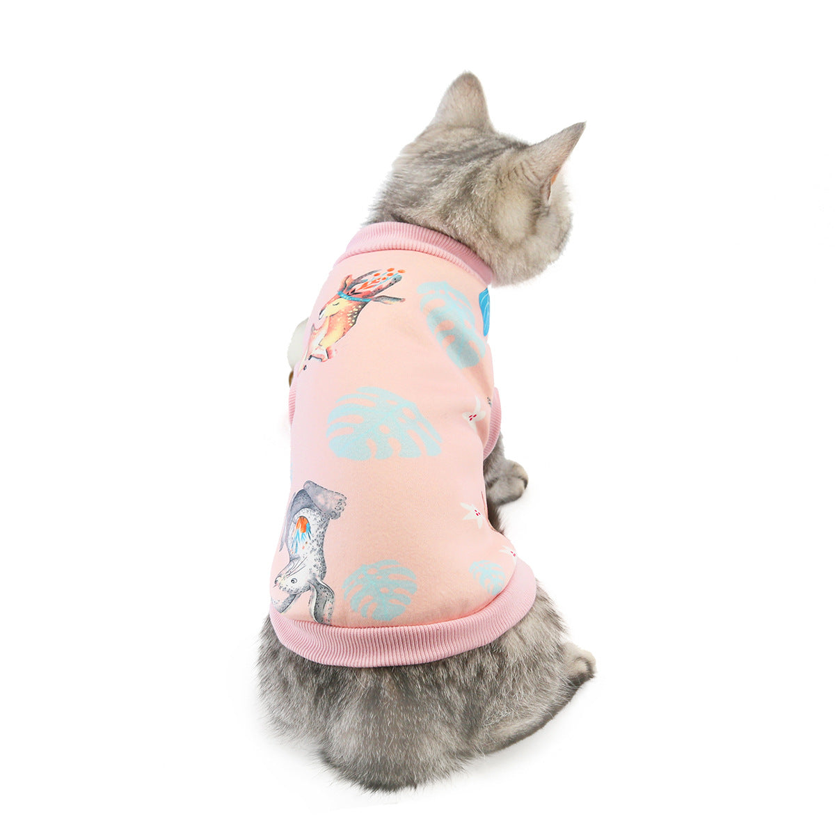 KFX-5103677 Cozy Cotton Cat Clothes for Autumn and Winter in Fun Designs