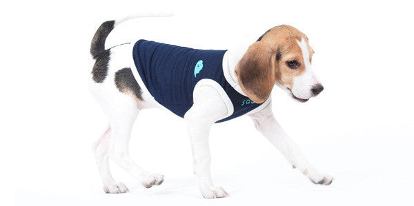 KFX-5105469 Gray Cotton Dog Vest for Pets - Comfortable Two-Legged Clothing in Various Sizes