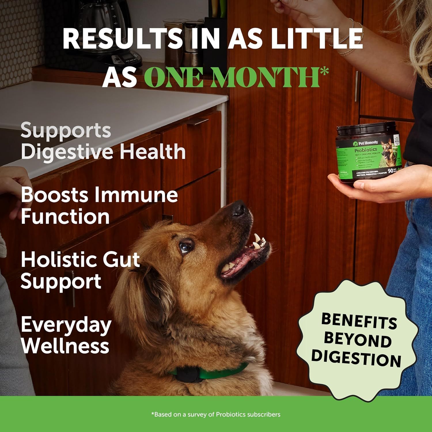 KFX-5107133 Probiotics Soft Chews for Dogs - Supports Seasonal Allergies, Gut and Digestive Health