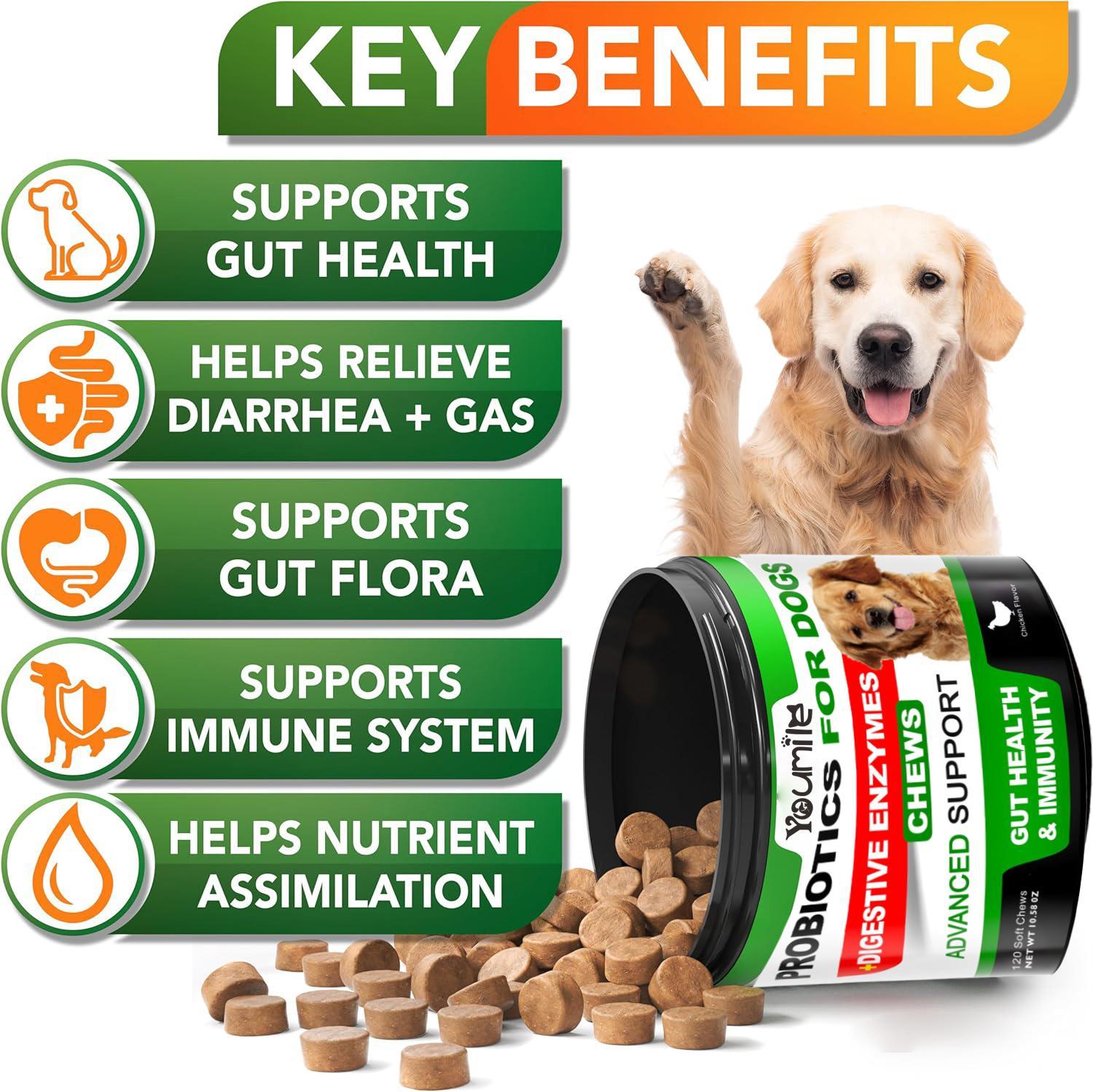 KFX-5107133 Probiotics Soft Chews for Dogs - Supports Seasonal Allergies, Gut and Digestive Health