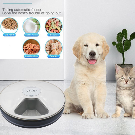 KFX-5110845 Automatic 6-Grid Pet Feeder with Music Reminder for Dogs and Cats