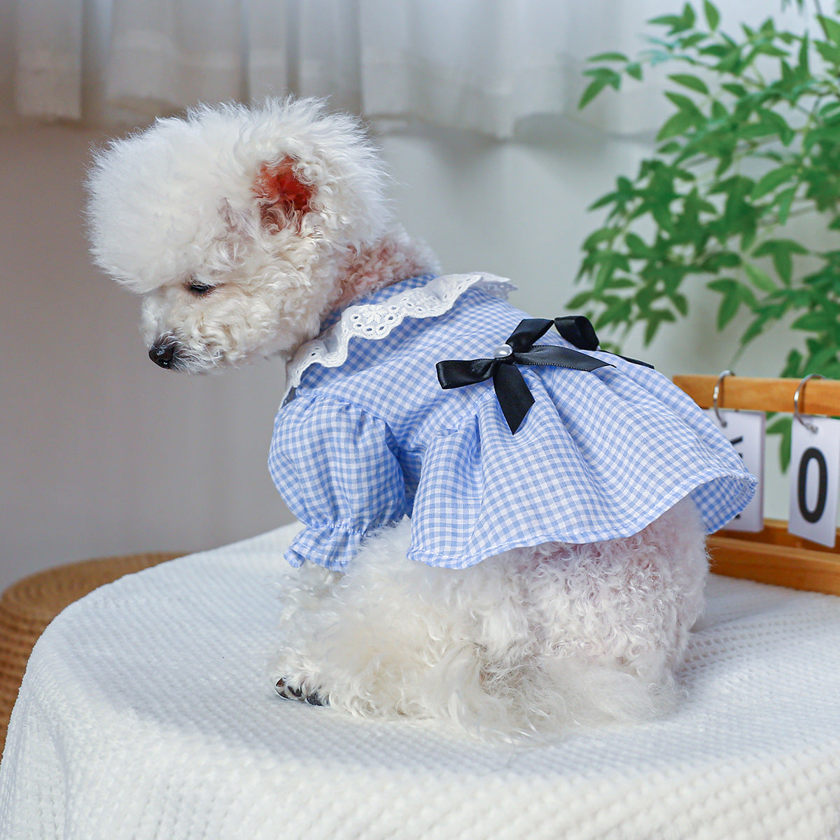 KFX-5113405 Black and White Plaid Pet Skirt with Bow and Lace Collar for Dogs and Cats