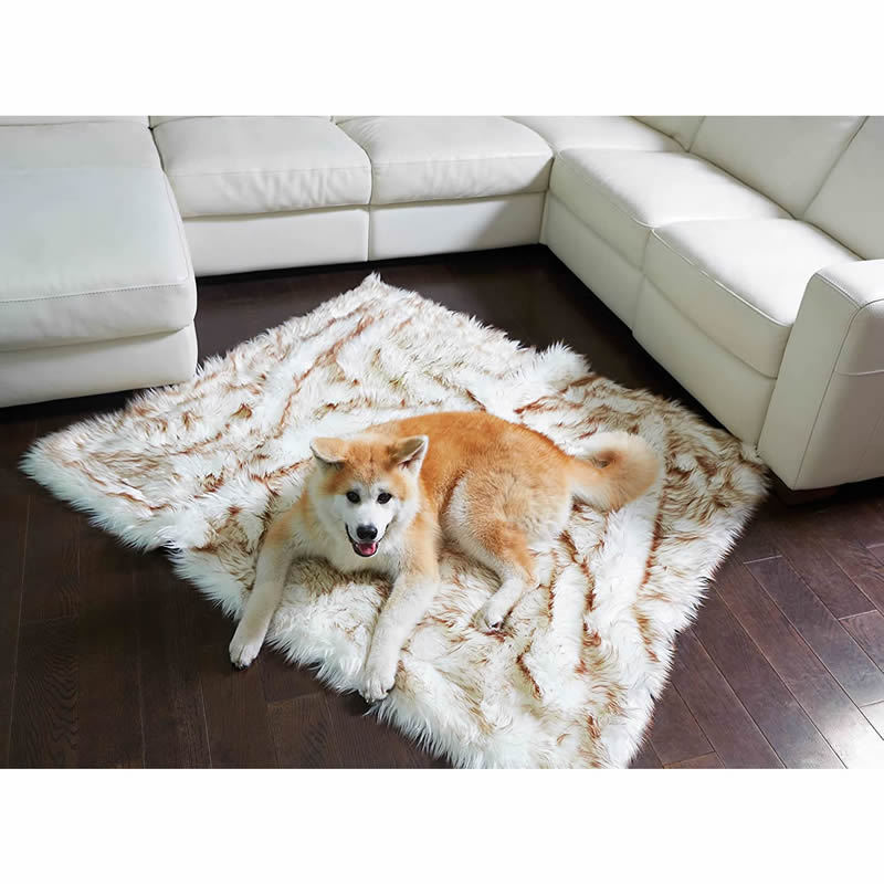 KFX-5113661 Machine Washable Waterproof Couch Bed for Dogs - White with Brown Accents