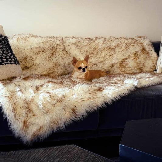 KFX-5113661 Machine Washable Waterproof Couch Bed for Dogs - White with Brown Accents