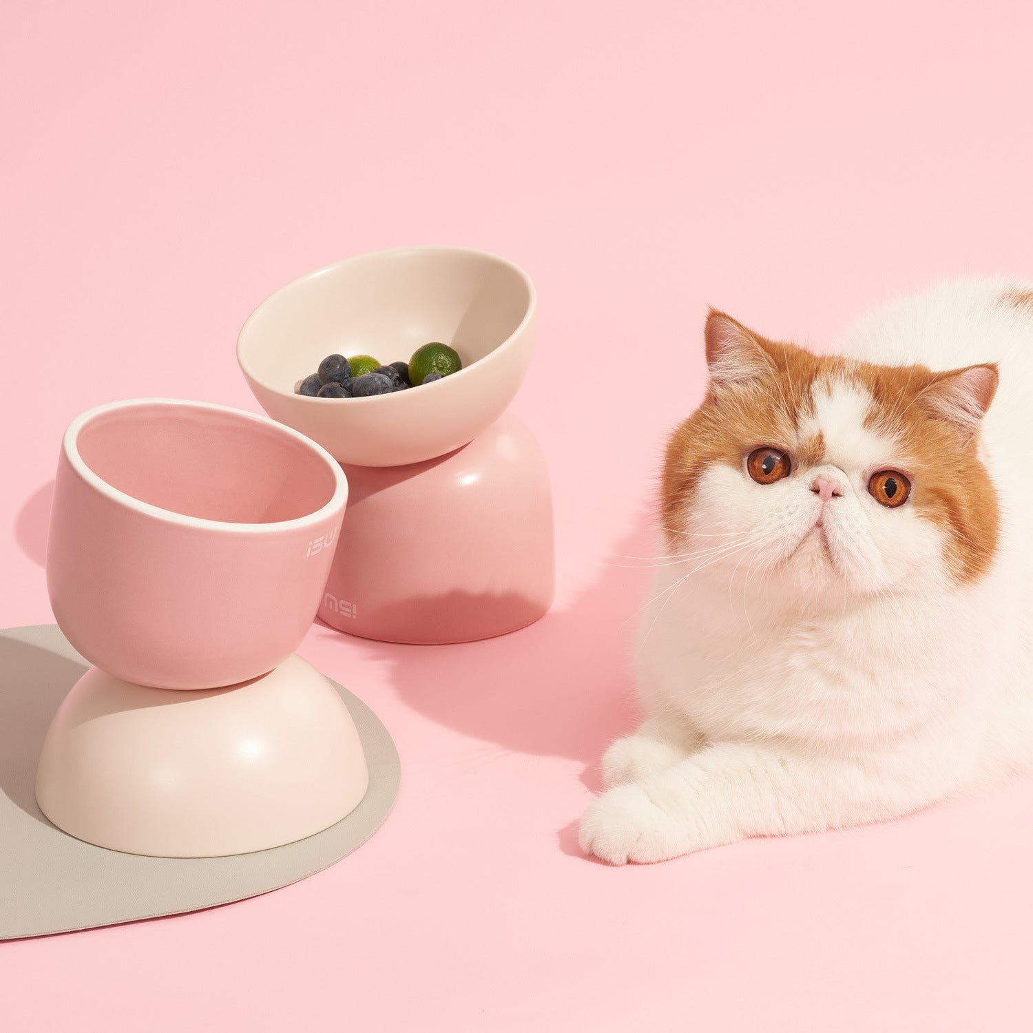 KFX-5128509 Elevated Ceramic Cat Bowl with Oblique Mouth Design for Improved Comfort and Spill Prevention