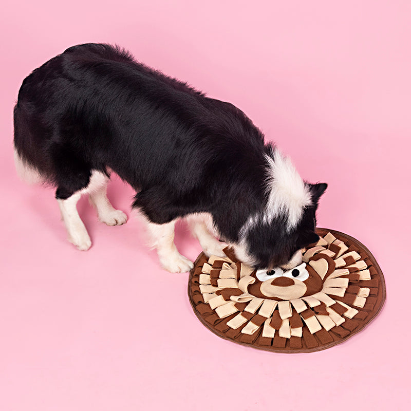KFX-5131581 Interactive Snuffle Mat for Dogs and Cats, Polar Fleece Feeding Puzzle Toy, 50 x 50cm