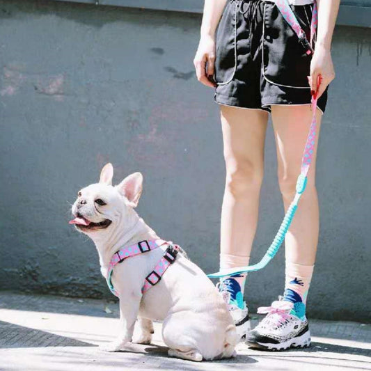 KFX-5136701 X-type Nylon Dog Chest Strap for Comfortable Pet Walking – Available in Bobby, Sunrise, Mountain and River Mark, and Florida Colors