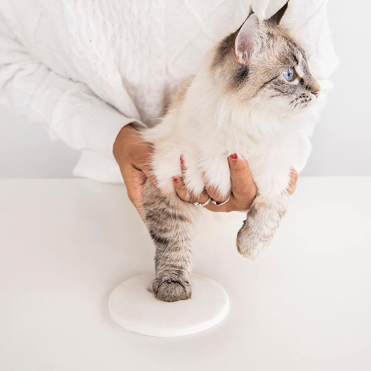 KFX-5141309 Pet Paw Print Ink Pad Set for Cats and Dogs - Includes 2 Ink Pads, Mold, Ribbon, and Text Printing Plate