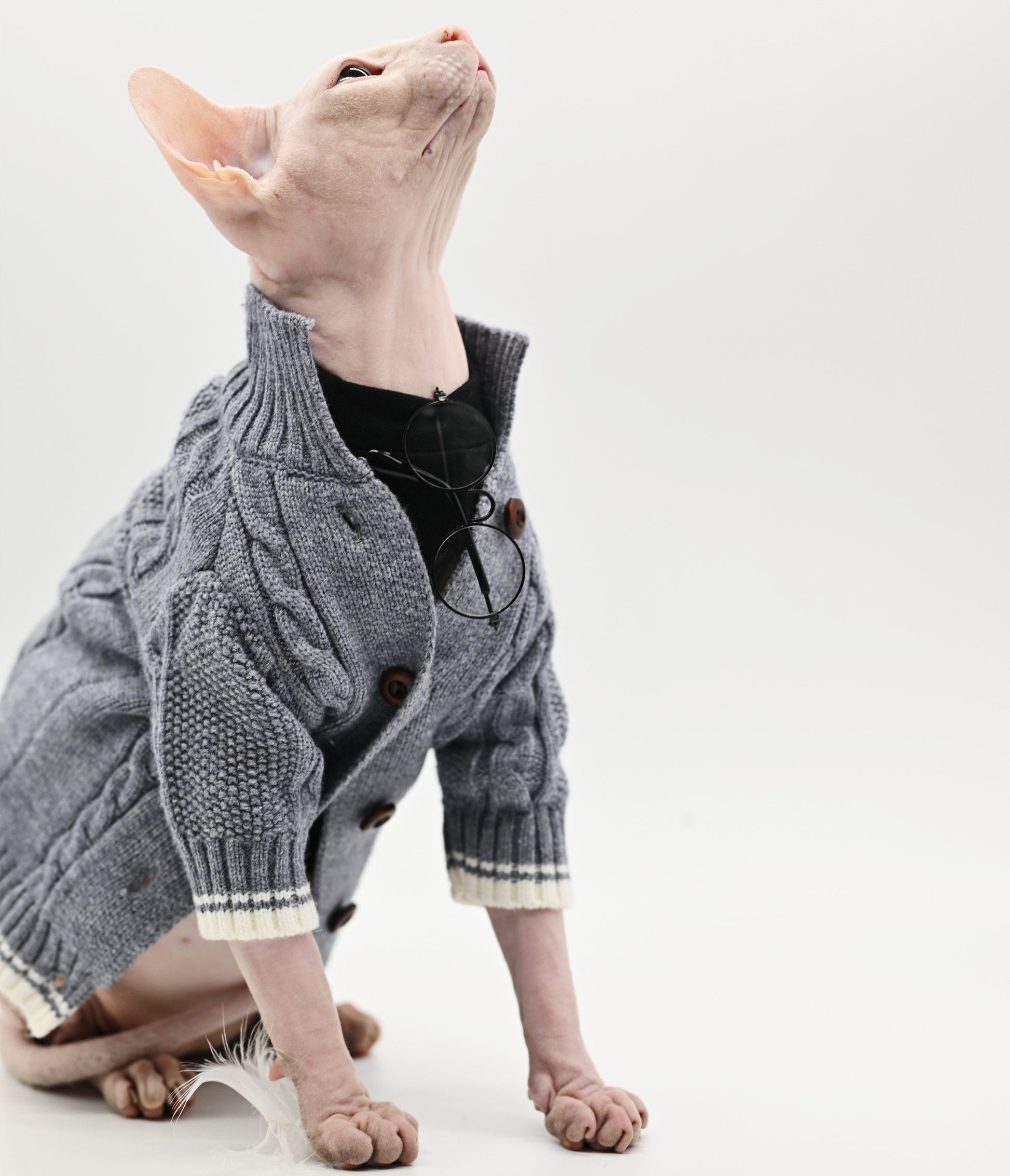 KFX-5159101 Soft Cotton Knit Cat Sweater in Gray - Cozy Pet Coat for Hairless Cats, Size 2XL