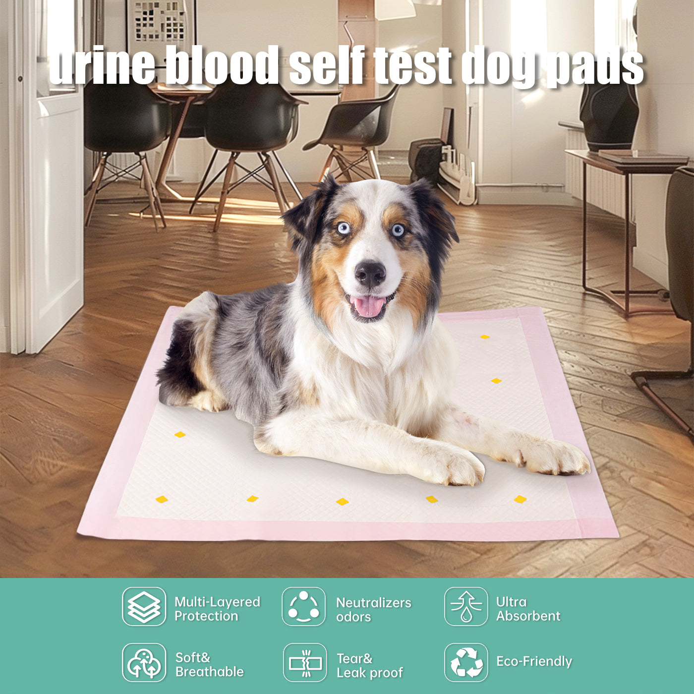 KFX-5164733 Absorbent Dog Detection Urine Pads - Pack of 10 for Easy Cleanup