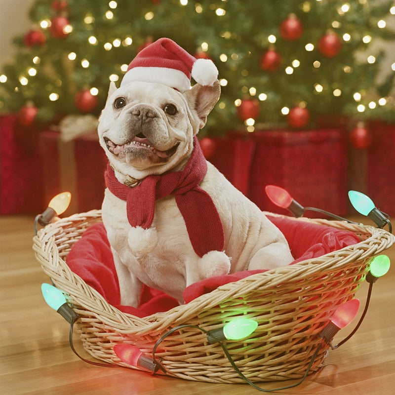 KFX-5165245 Plush Holiday Pet Hat with Windproof Design for Christmas Celebrations