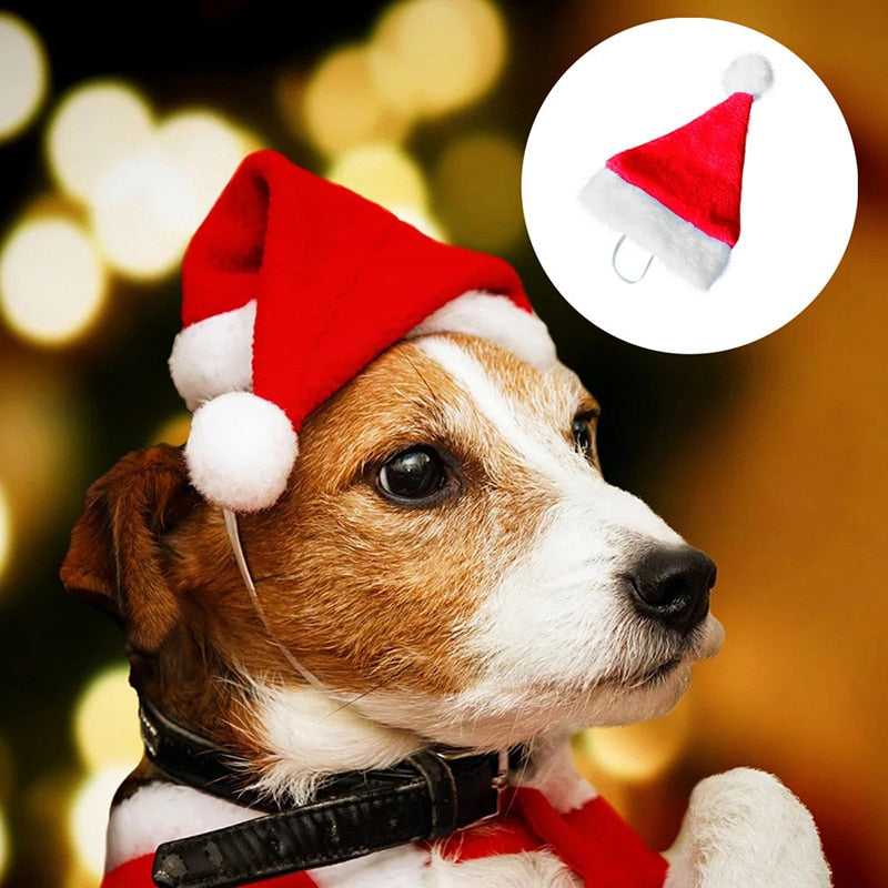 KFX-5165245 Plush Holiday Pet Hat with Windproof Design for Christmas Celebrations