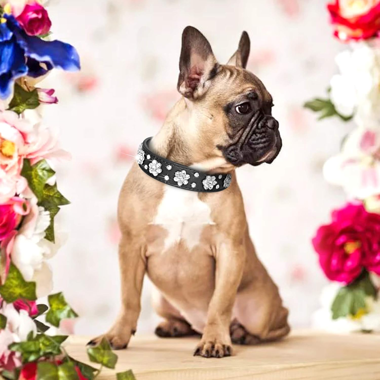 KFX-5168317 Rhinestone Flower Pattern PU Leather Dog Collar for Small and Medium Pets