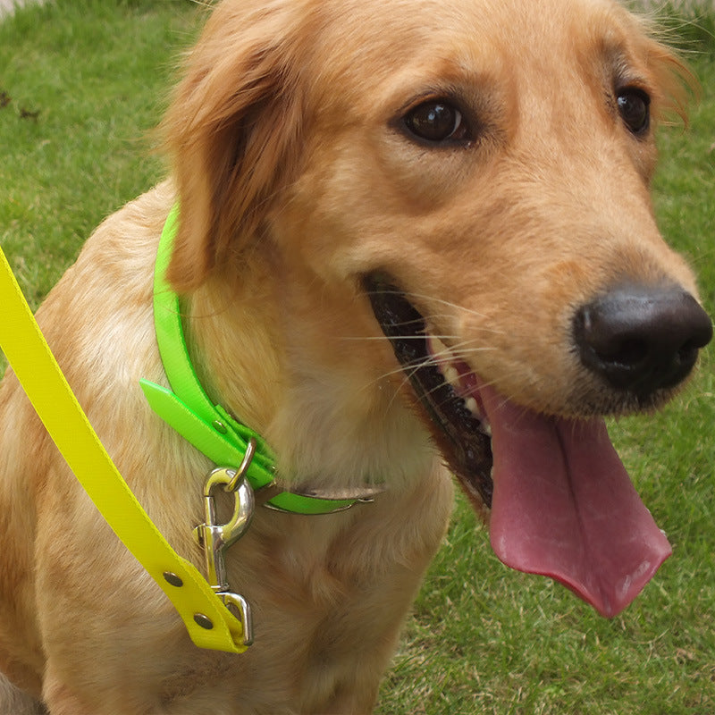 KFX-5168829 Durable TPU Dog Collar with Multiple Color Options for All Pet Occasions