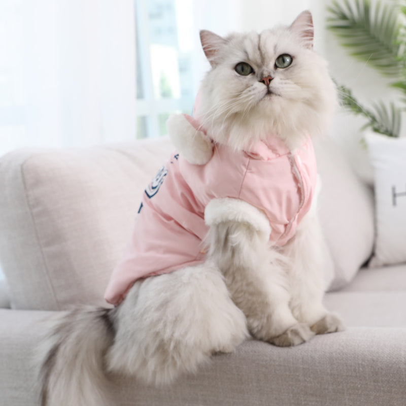 KFX-5169213 Soft Velvet Princess Cat Flannel Outfit in Blue for Pets