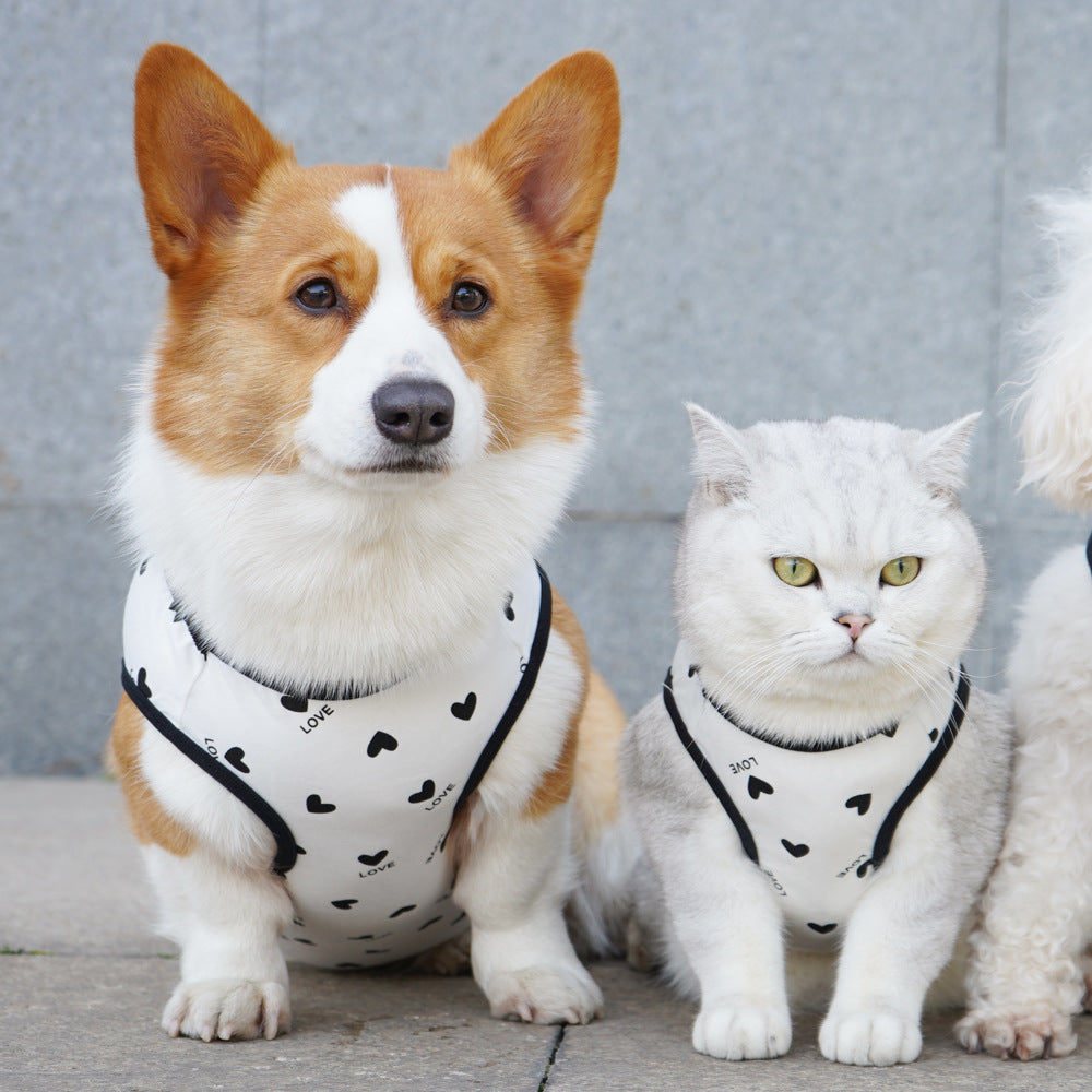 KFX-5182909 Anti-Lint Cartoon PET Vest in Black Heart, Carrot, and Strawberry - Sizes S to 11XL