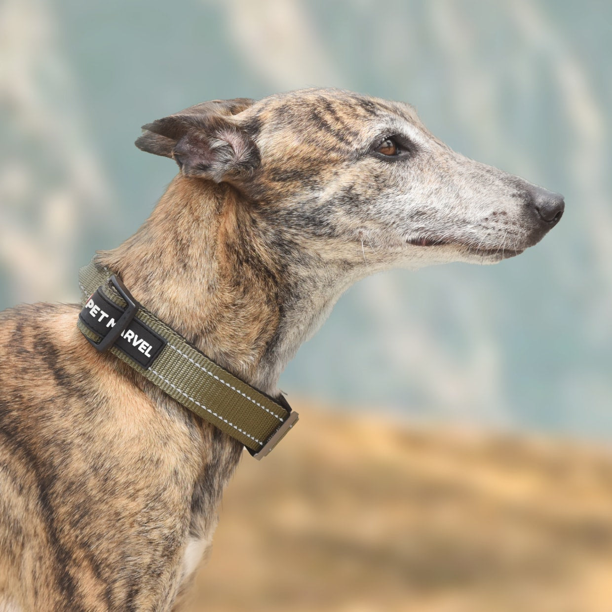 KFX-5195325 Tactical Dog Collar with Handle, Padded Interior and Dual Buckle for Comfort and Control