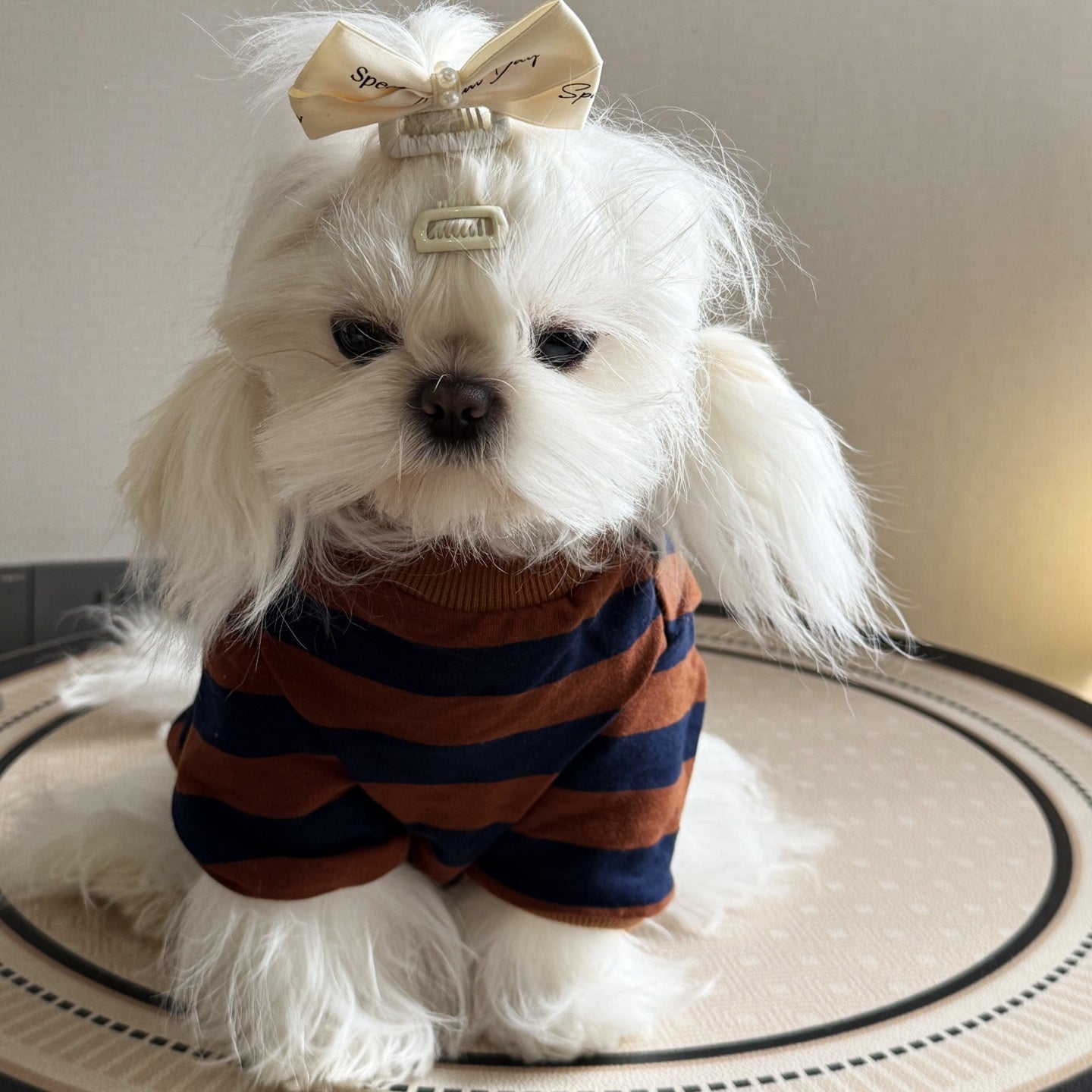 KFX-5204157 Thin Striped Casual Dog Shirt for Outdoor Summer Wear