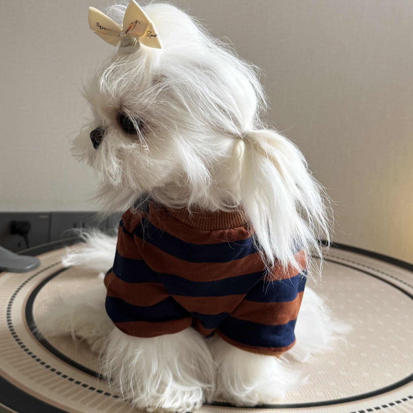 KFX-5204157 Thin Striped Casual Dog Shirt for Outdoor Summer Wear