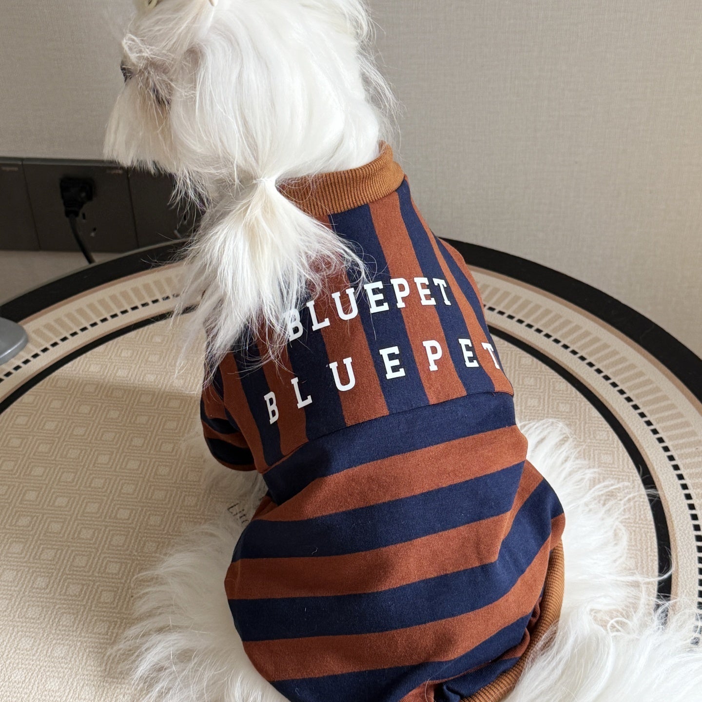 KFX-5204157 Thin Striped Casual Dog Shirt for Outdoor Summer Wear