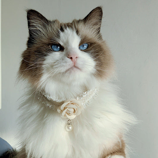 KFX-5213117 Stylish Magnolia Flower Fragrance Collar Accessory for Cats and Dogs