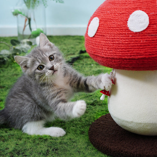KFX-5214397 Self-Healing Cat Climbing Frame with Cotton Rope – Red Mushroom Design, 340*280cm