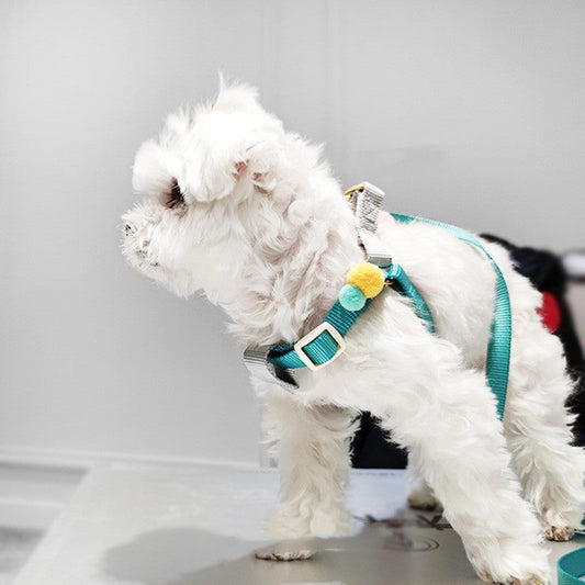 KFX-5225917 Comfortable Polyester Chest Strap for Small Dogs - Available in Multiple Colors