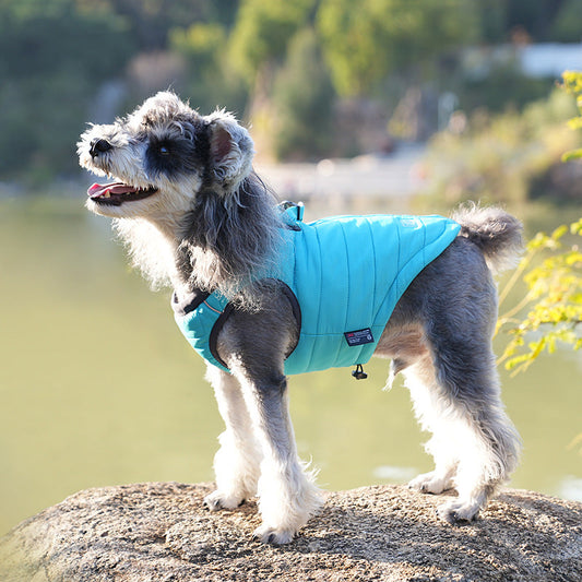 KFX-5227197 Universal Down Cotton-Padded Winter Vest for Dogs in Blue, Rose Red, and Black