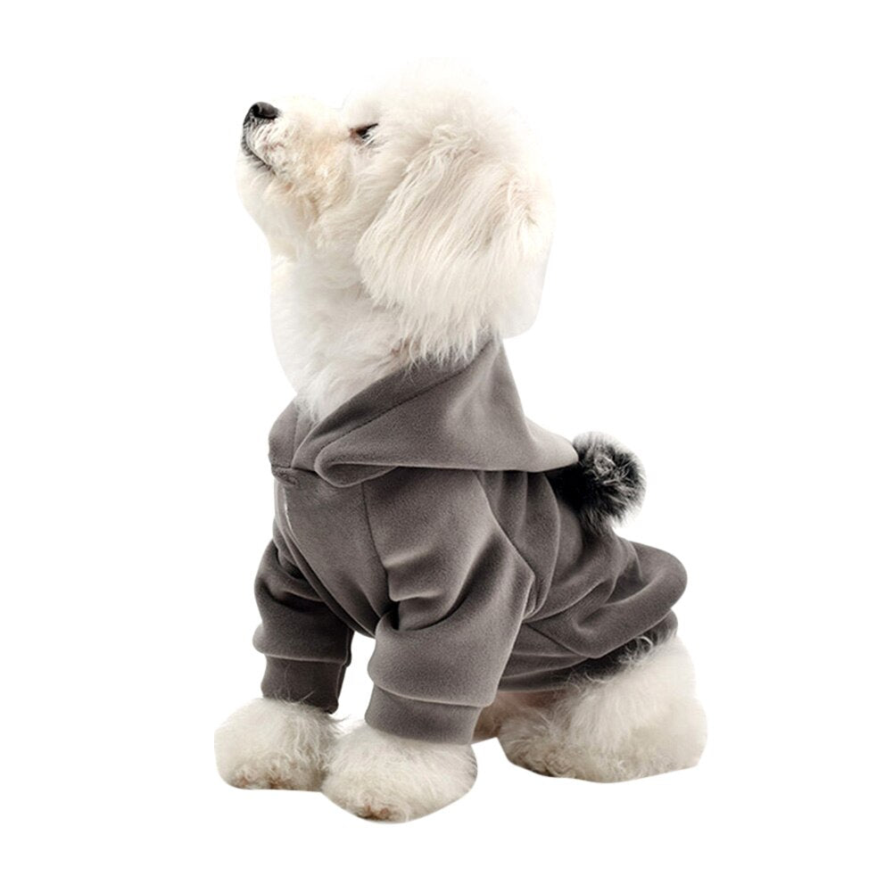 KFX-5230781 Cozy Cotton Sweater for Teddy Bichon Dogs in Gray and Navy Blue