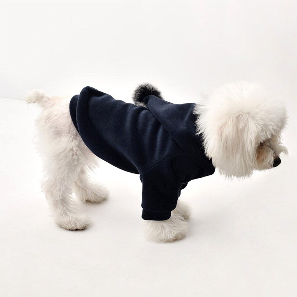 KFX-5230781 Cozy Cotton Sweater for Teddy Bichon Dogs in Gray and Navy Blue