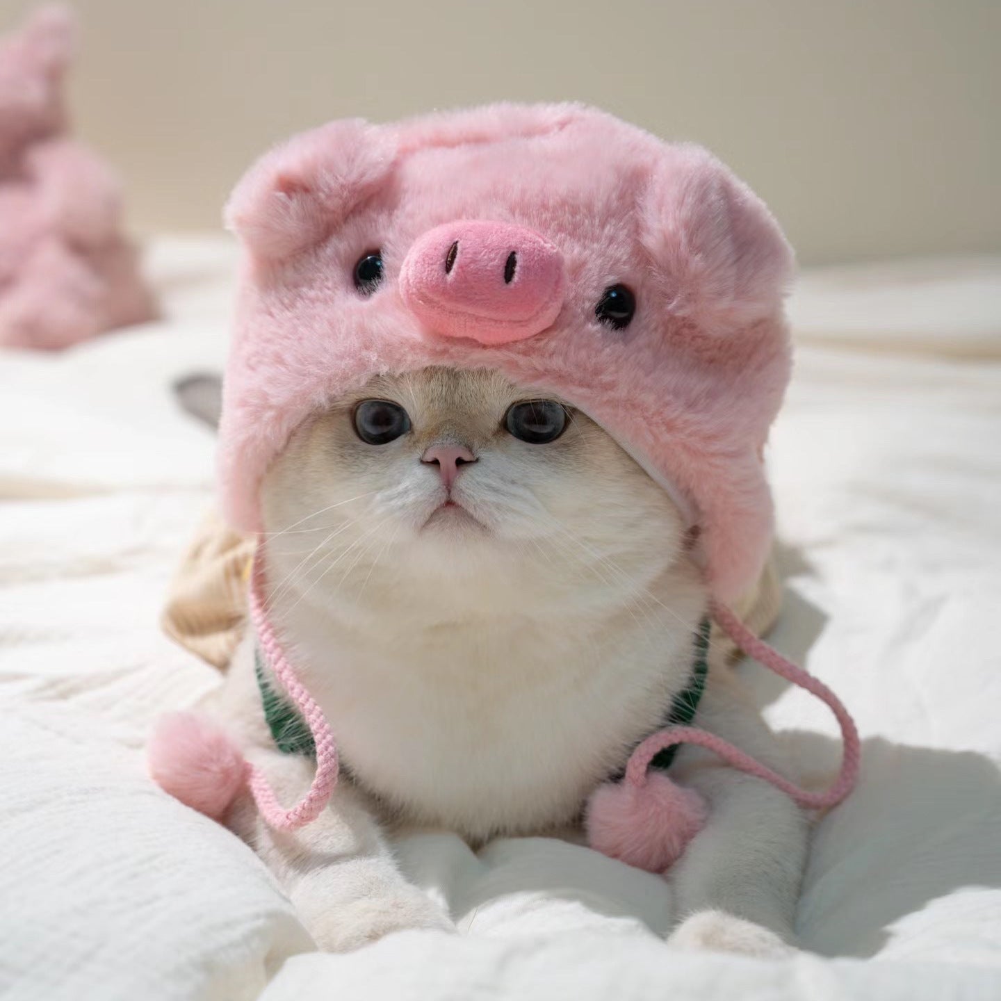 KFX-5231165 Cute Casual Winter Pet Hooded Hats - Various Styles for Small Pets