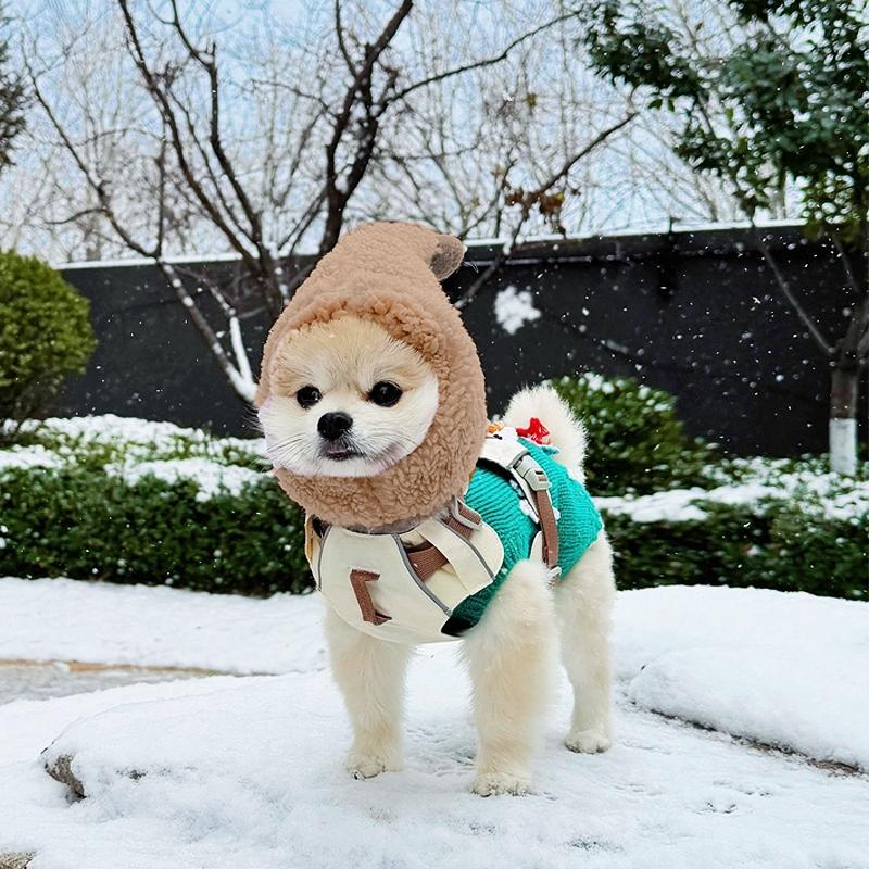 KFX-5231165 Cute Casual Winter Pet Hooded Hats - Various Styles for Small Pets