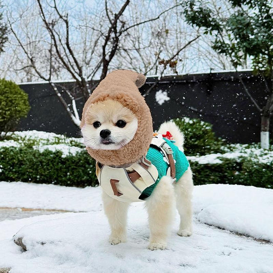KFX-5231165 Cute Casual Winter Pet Hooded Hats - Various Styles for Small Pets