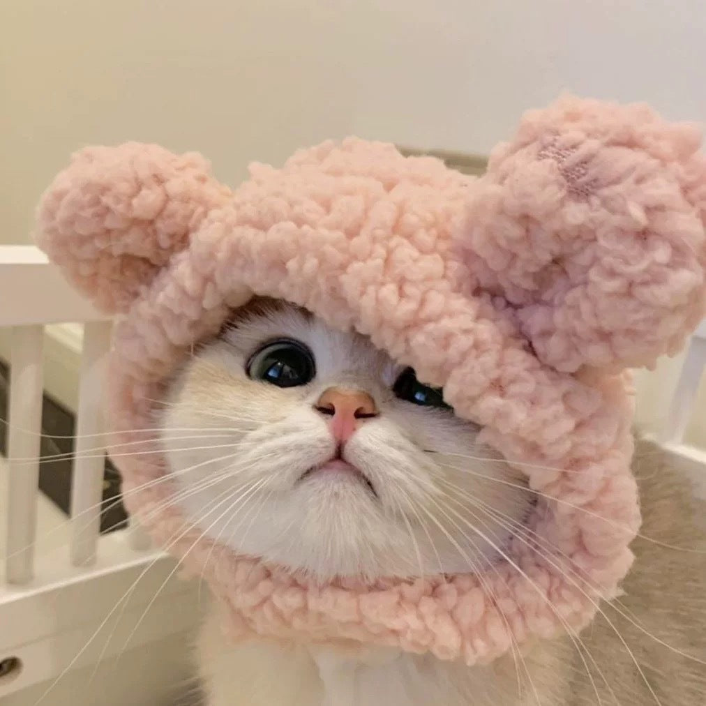 KFX-5231165 Cute Casual Winter Pet Hooded Hats - Various Styles for Small Pets