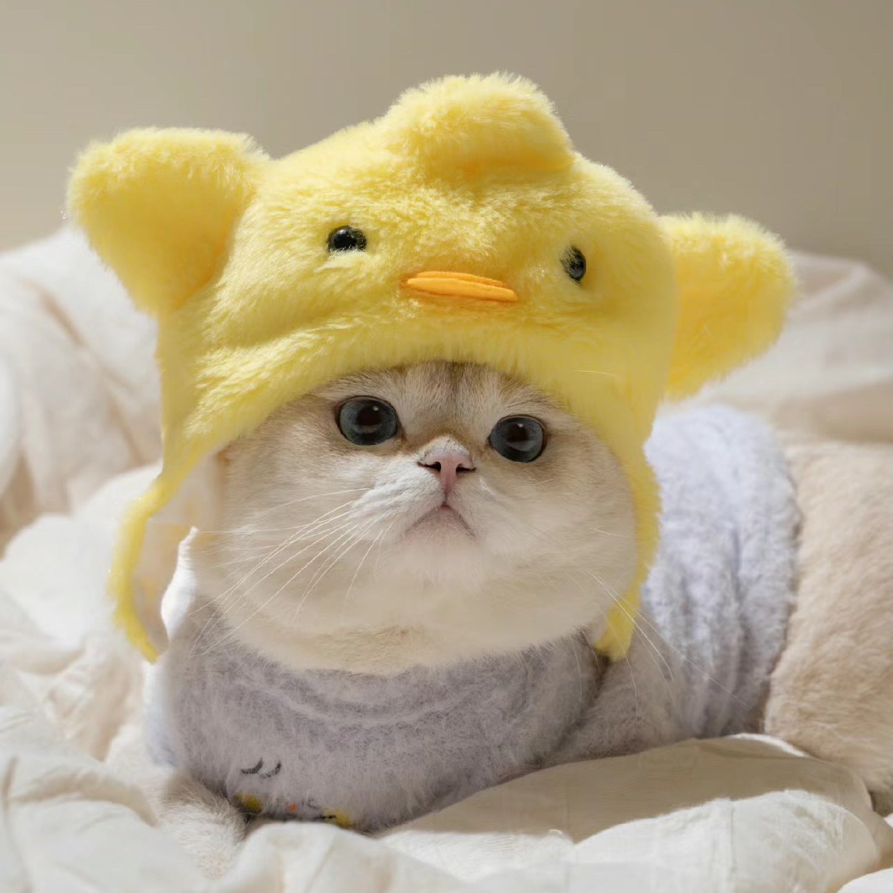 KFX-5231165 Cute Casual Winter Pet Hooded Hats - Various Styles for Small Pets